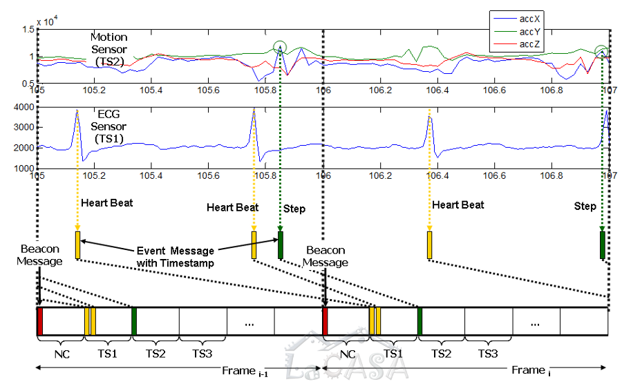 Signals from WBAN prototype